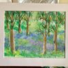 Springtime Bluebells