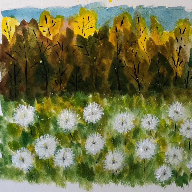 Field of Wishes