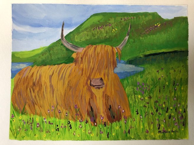 Scottish Highland Cow (Heilan Coo)
