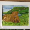 Scottish Highland Cow (Heilan Coo)