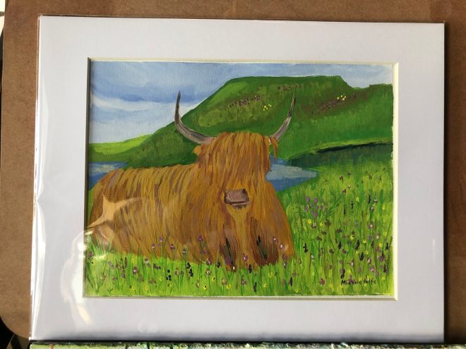 Scottish Highland Cow (Heilan Coo)
