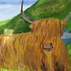 Scottish Highland Cow (Heilan Coo)