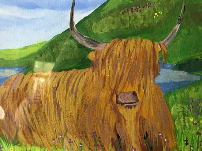 Scottish Highland Cow (Heilan Coo)